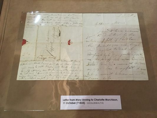 Letter from Mary Anning to Charlotte Murchison